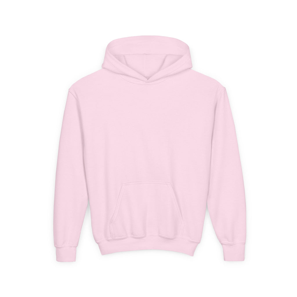 Youth Hoodie — Pink 'Swag' Cartoon Animal Squad Graphic