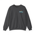 Remy Raccoon Graffiti Sweatshirt