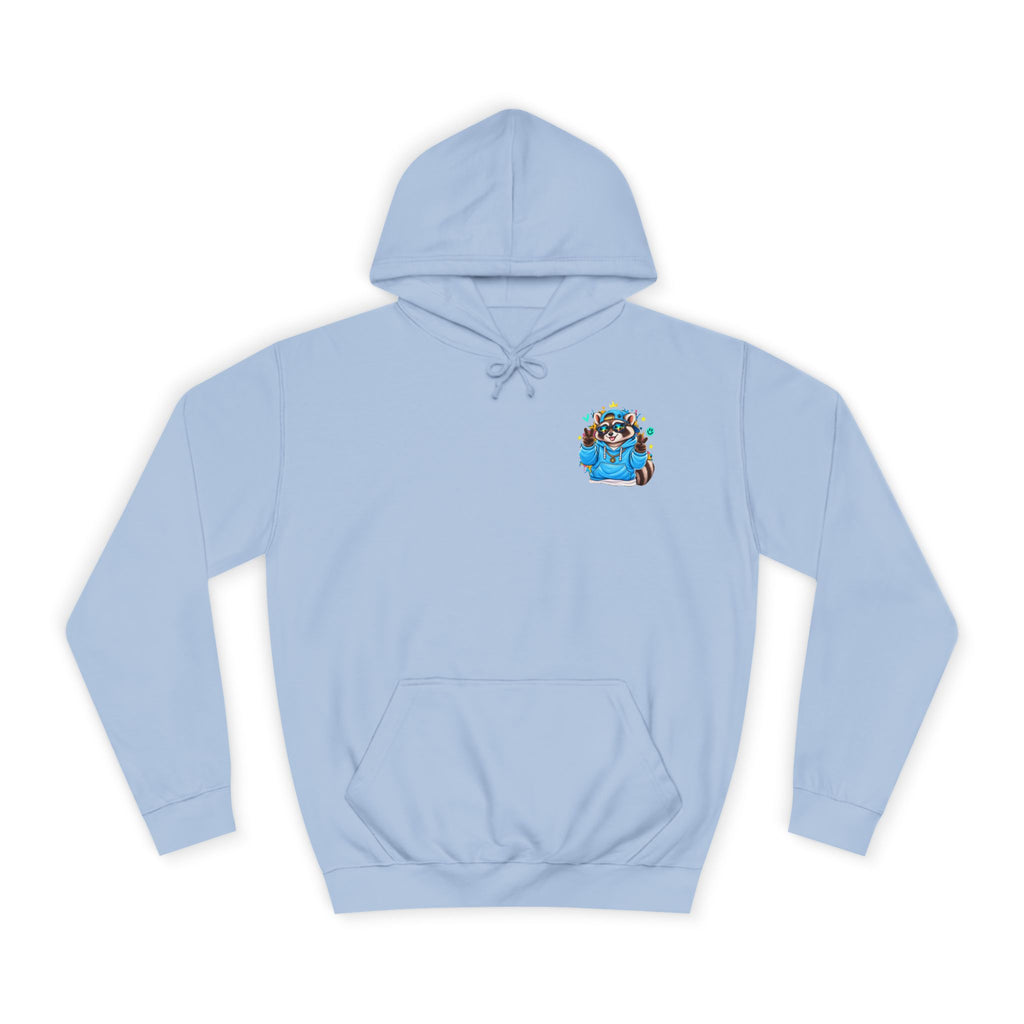 Skateboarding Remy Raccoon Hoodie