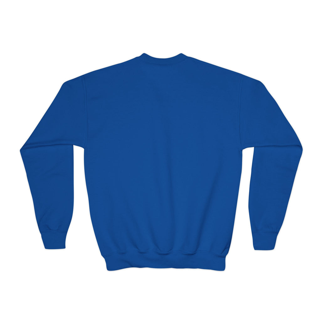 Youth Crewneck Sweatshirt — Cute Cat 'So Sus' Streetwear Graphic