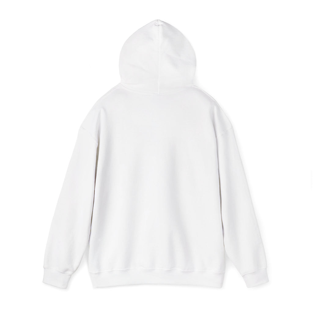 Skateboard Raccoon- Patch Hoodie — Colorful Marine Life Graphic