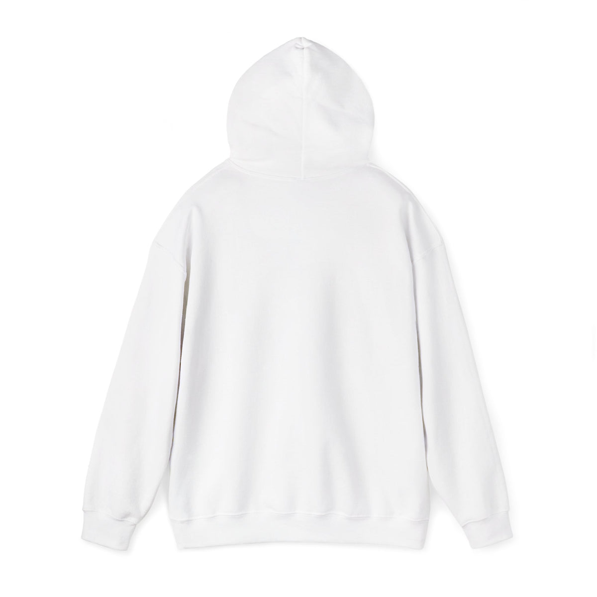 Skateboard Raccoon- Patch Hoodie — Colorful Marine Life Graphic