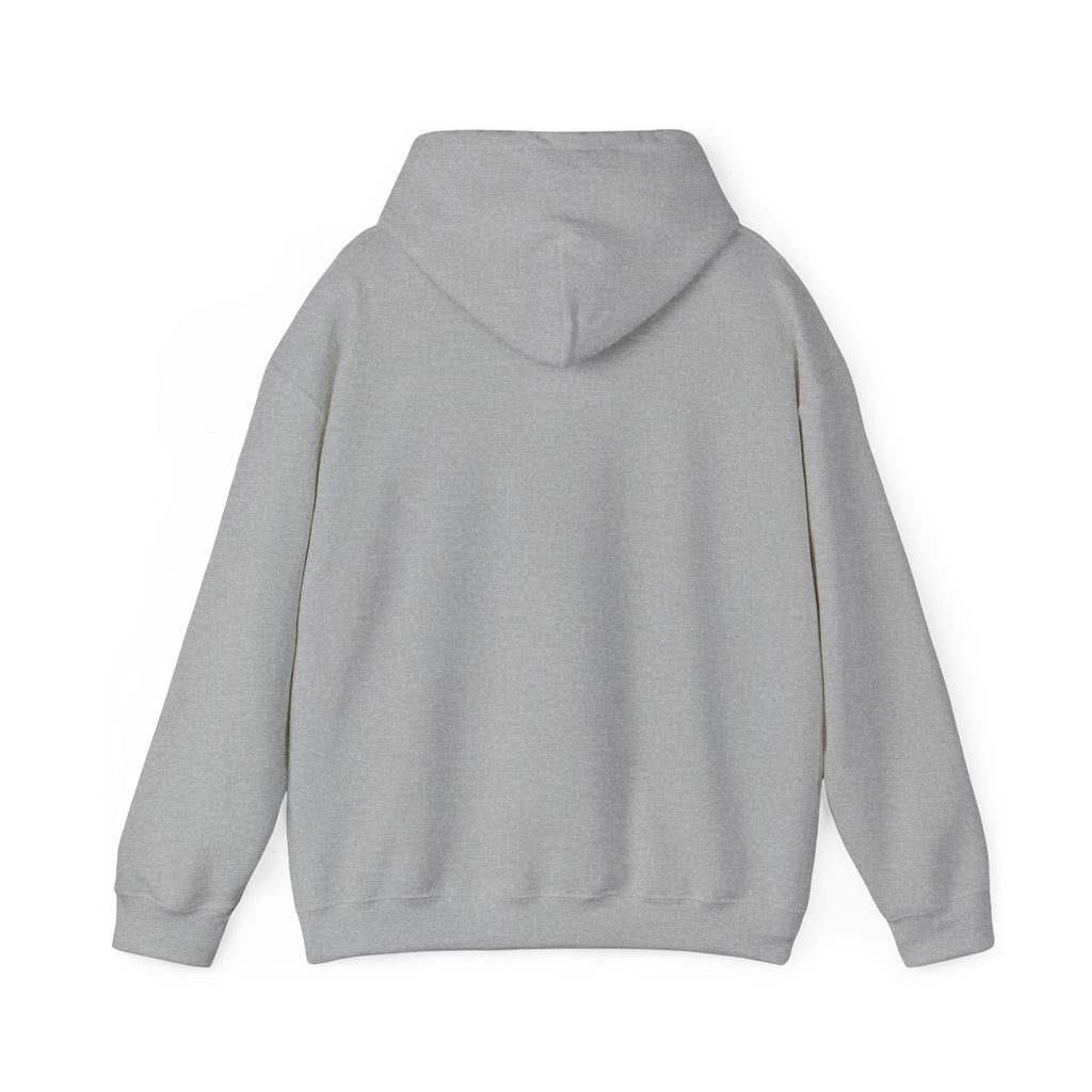 Skateboard Raccoon- Patch Hoodie — Colorful Marine Life Graphic