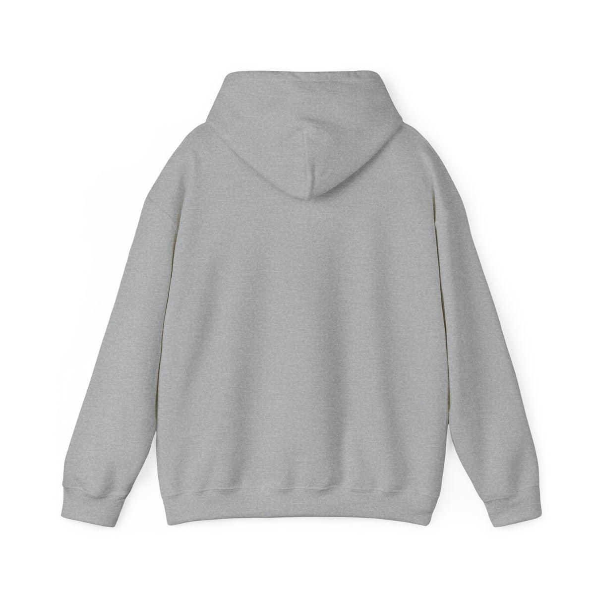 Skateboard Raccoon- Patch Hoodie — Colorful Marine Life Graphic