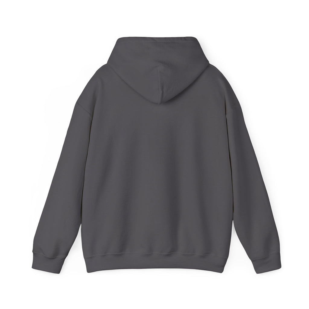 My Wildsona Mischievous Racoon Hoodie — Cute Raccoon Graphic Sweatshirt