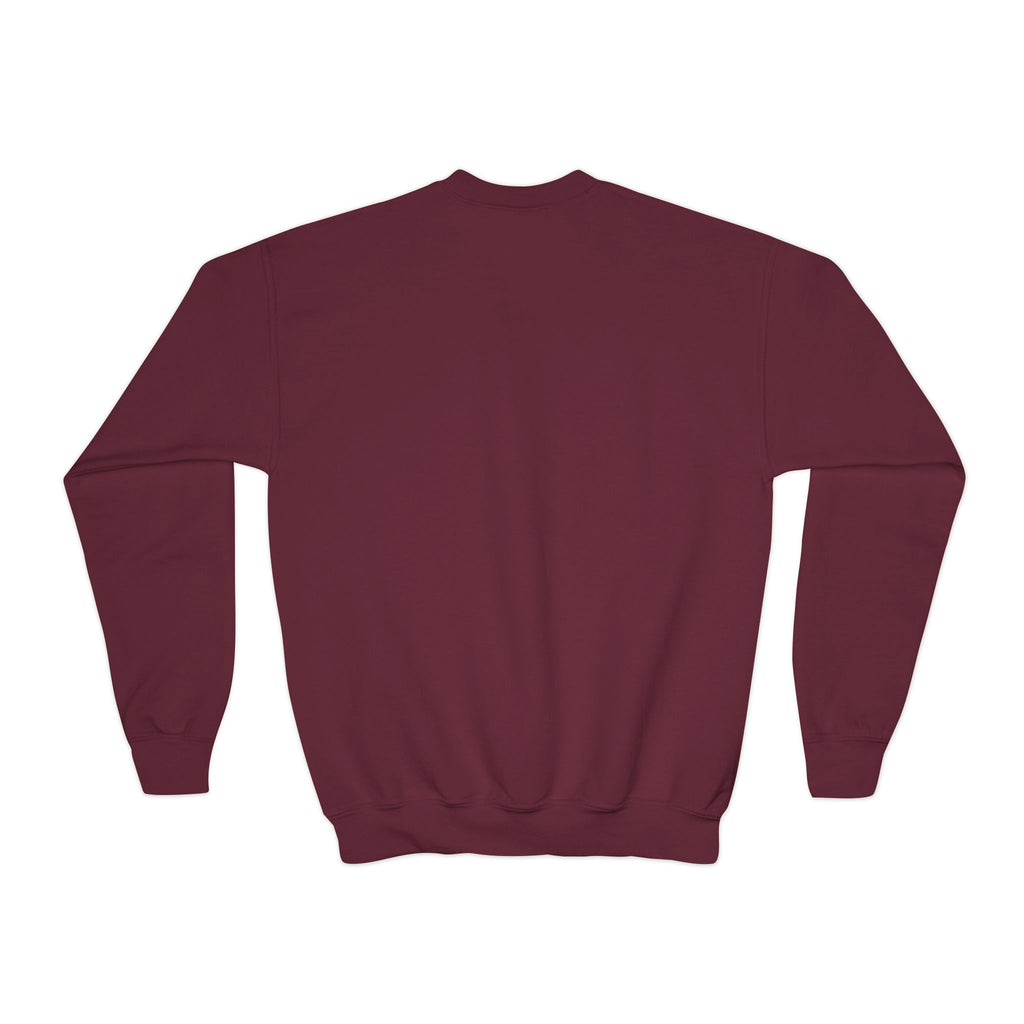 Youth Crewneck Sweatshirt — 'Low Key Slayin' It' Chill Capybara Lounge Pullover