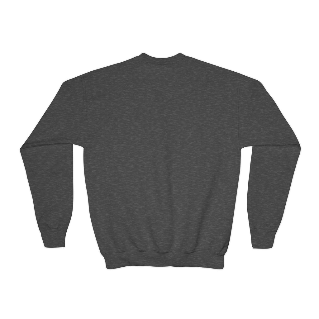 Youth Crewneck Sweatshirt — Cute Cat 'So Sus' Streetwear Graphic