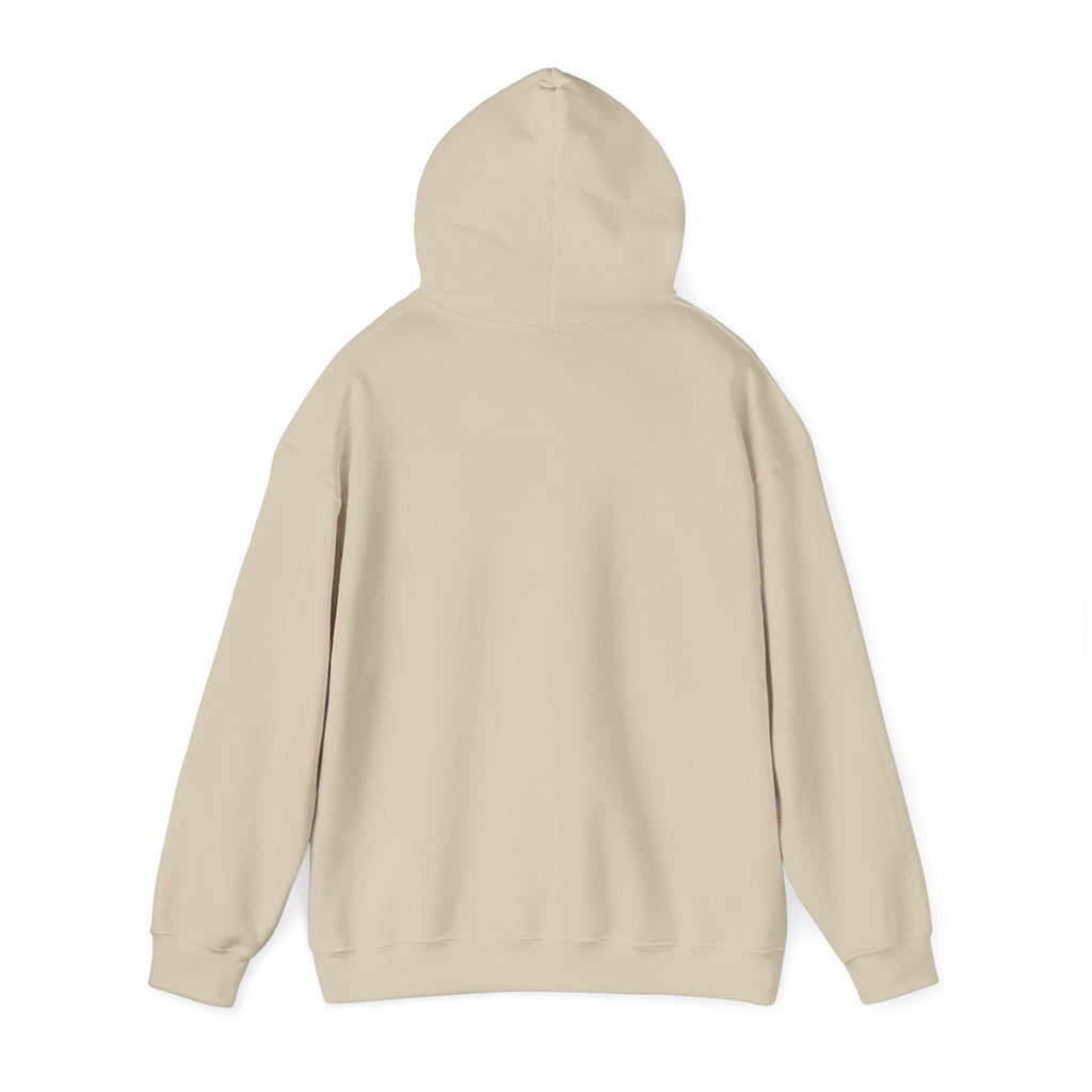 Skateboard Raccoon- Patch Hoodie — Colorful Marine Life Graphic