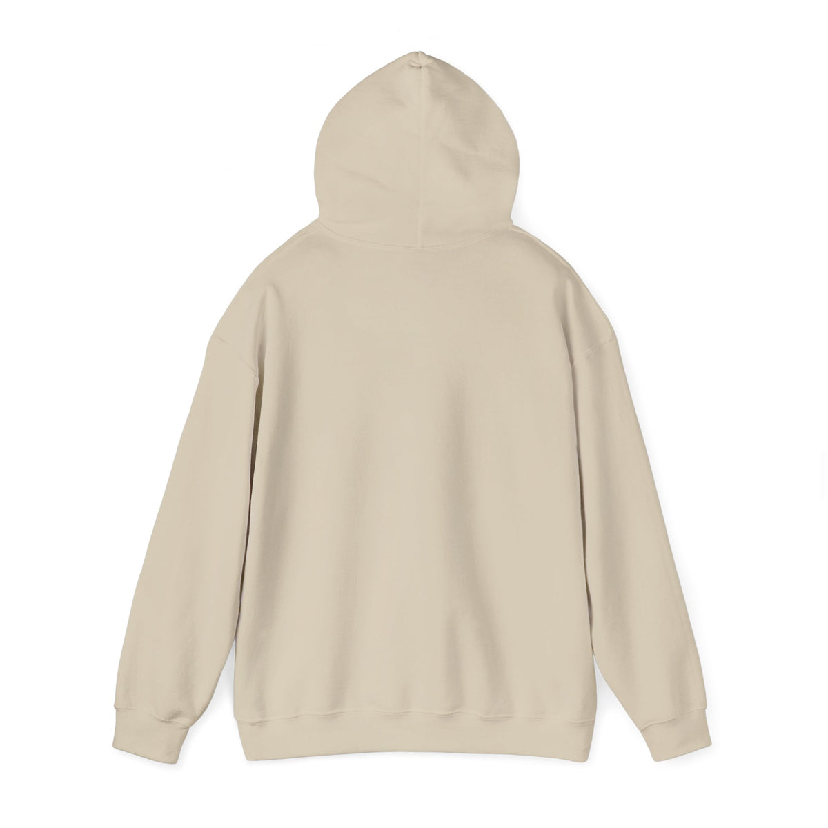 Skateboard Raccoon- Patch Hoodie — Colorful Marine Life Graphic