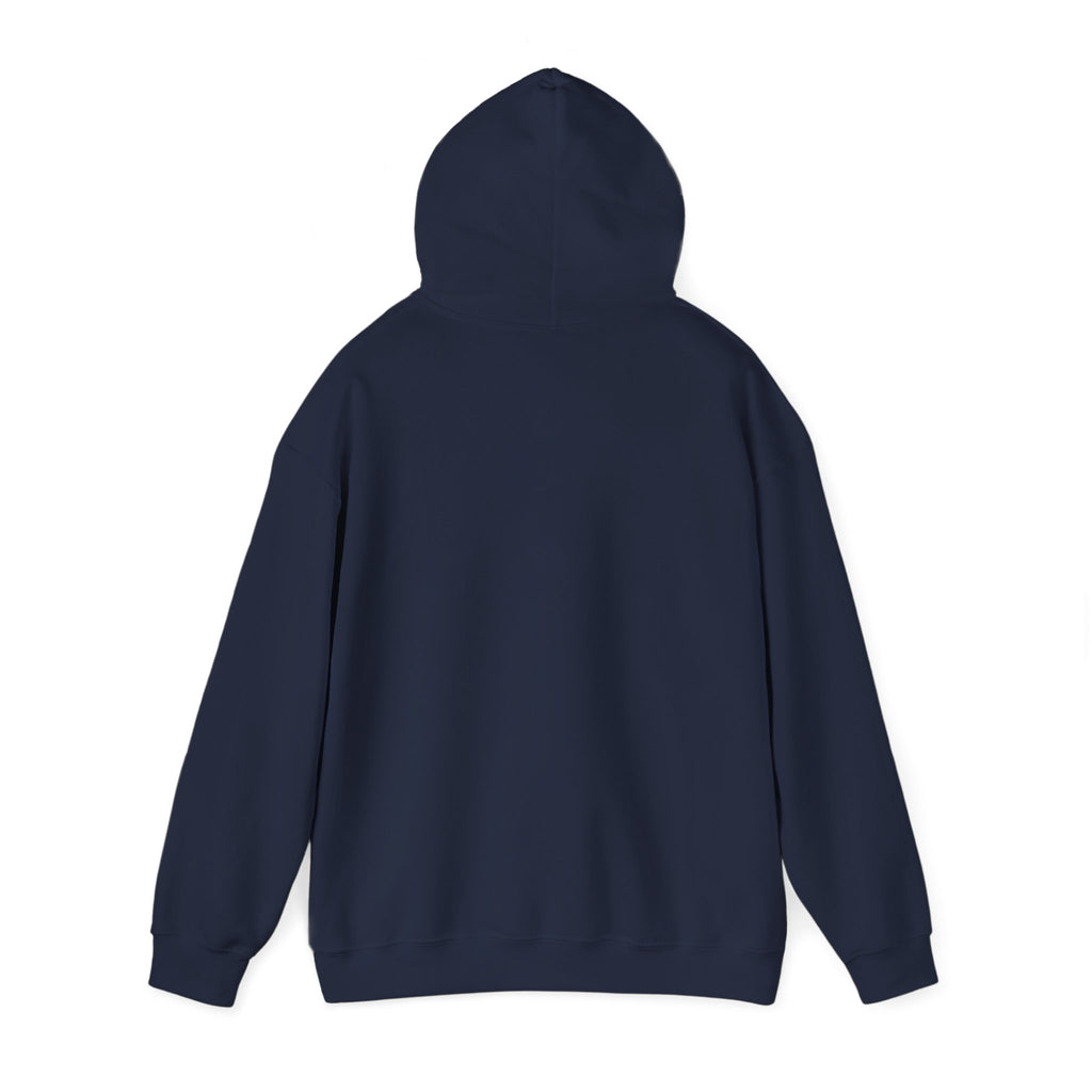 Skateboard Raccoon- Patch Hoodie — Colorful Marine Life Graphic