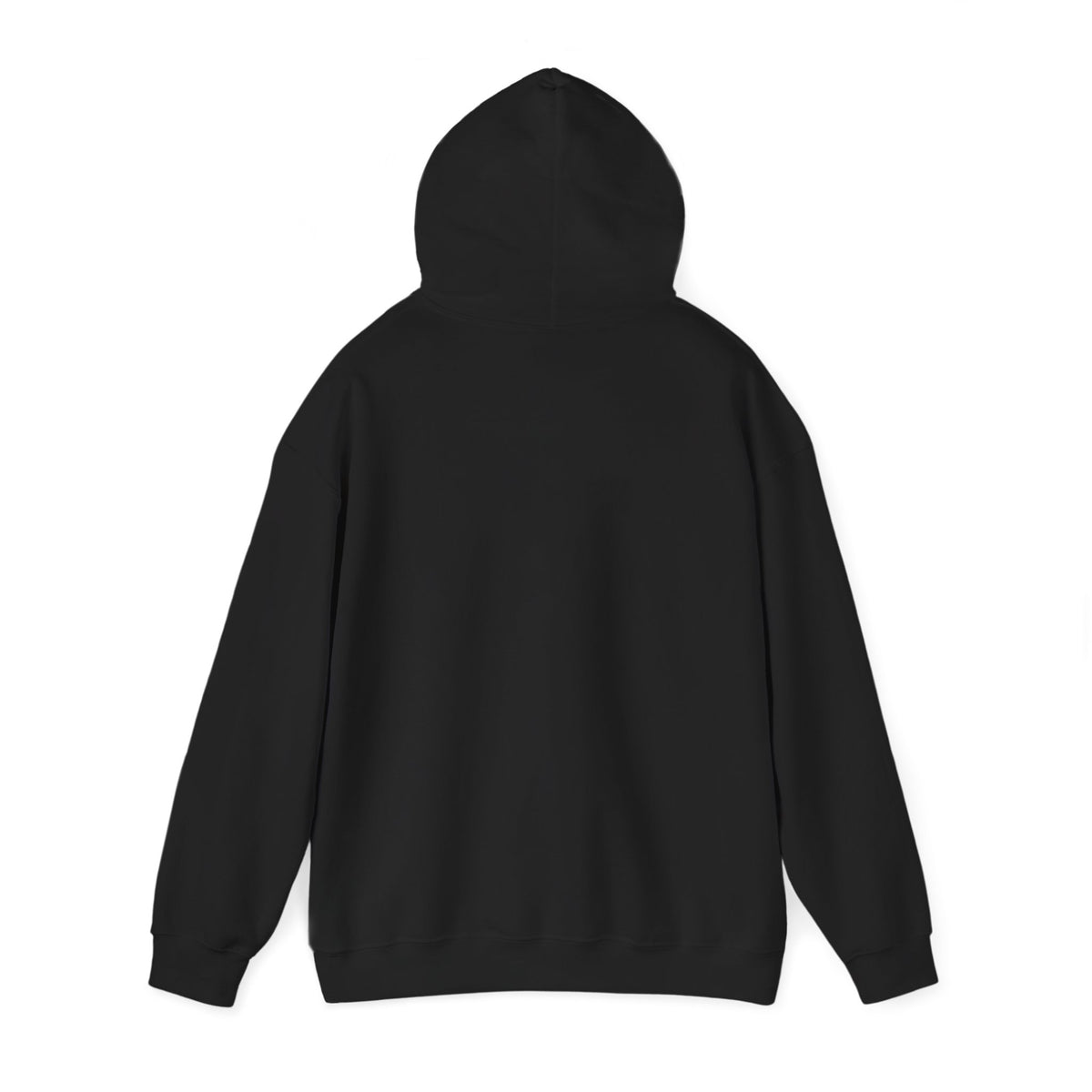 Skateboard Raccoon- Patch Hoodie — Colorful Marine Life Graphic