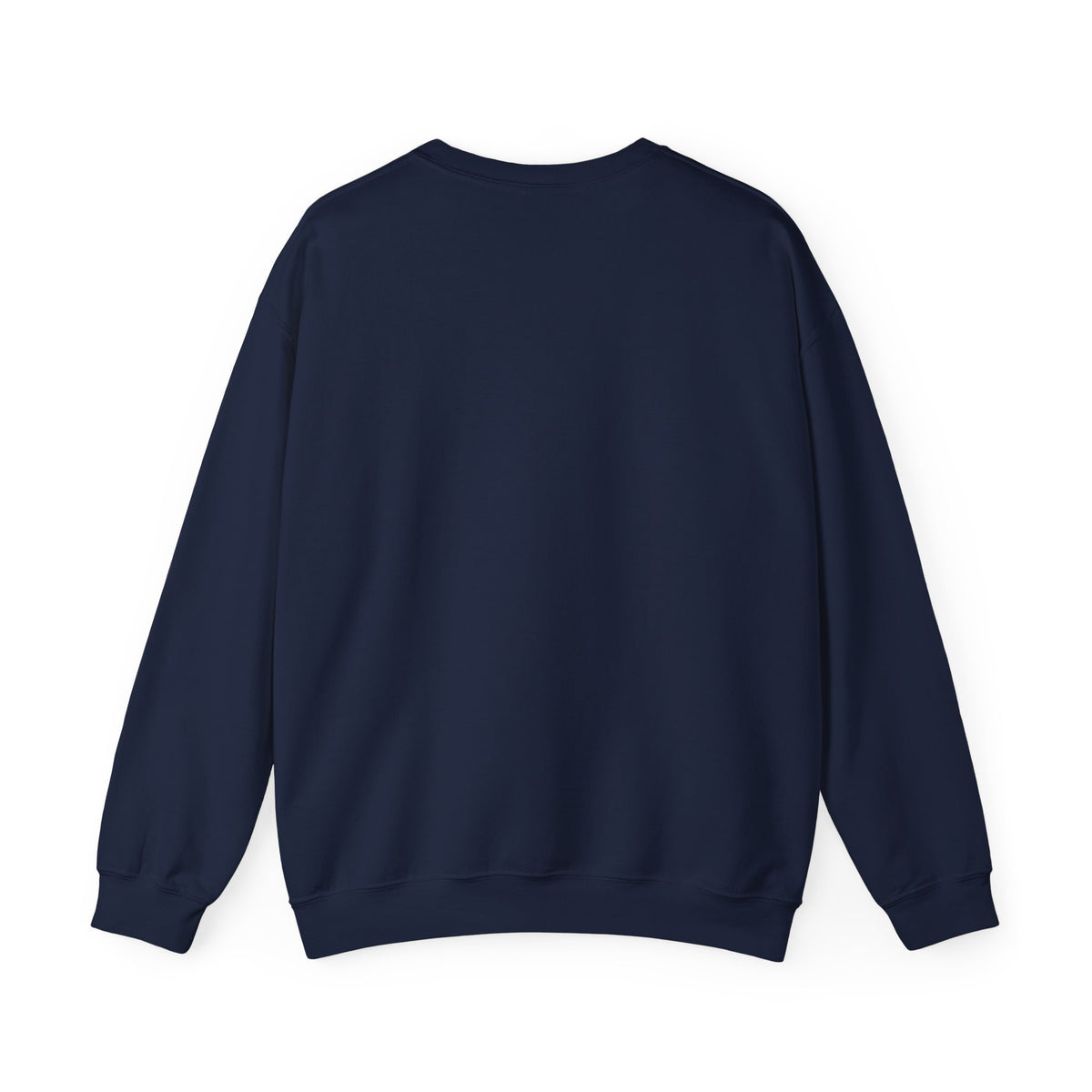 Sonny Capybara Graphic Sweatshirt — "Low Key Slayin' It"
