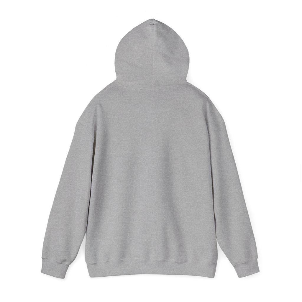 Skateboard Raccoon- Patch Hoodie — Colorful Marine Life Graphic