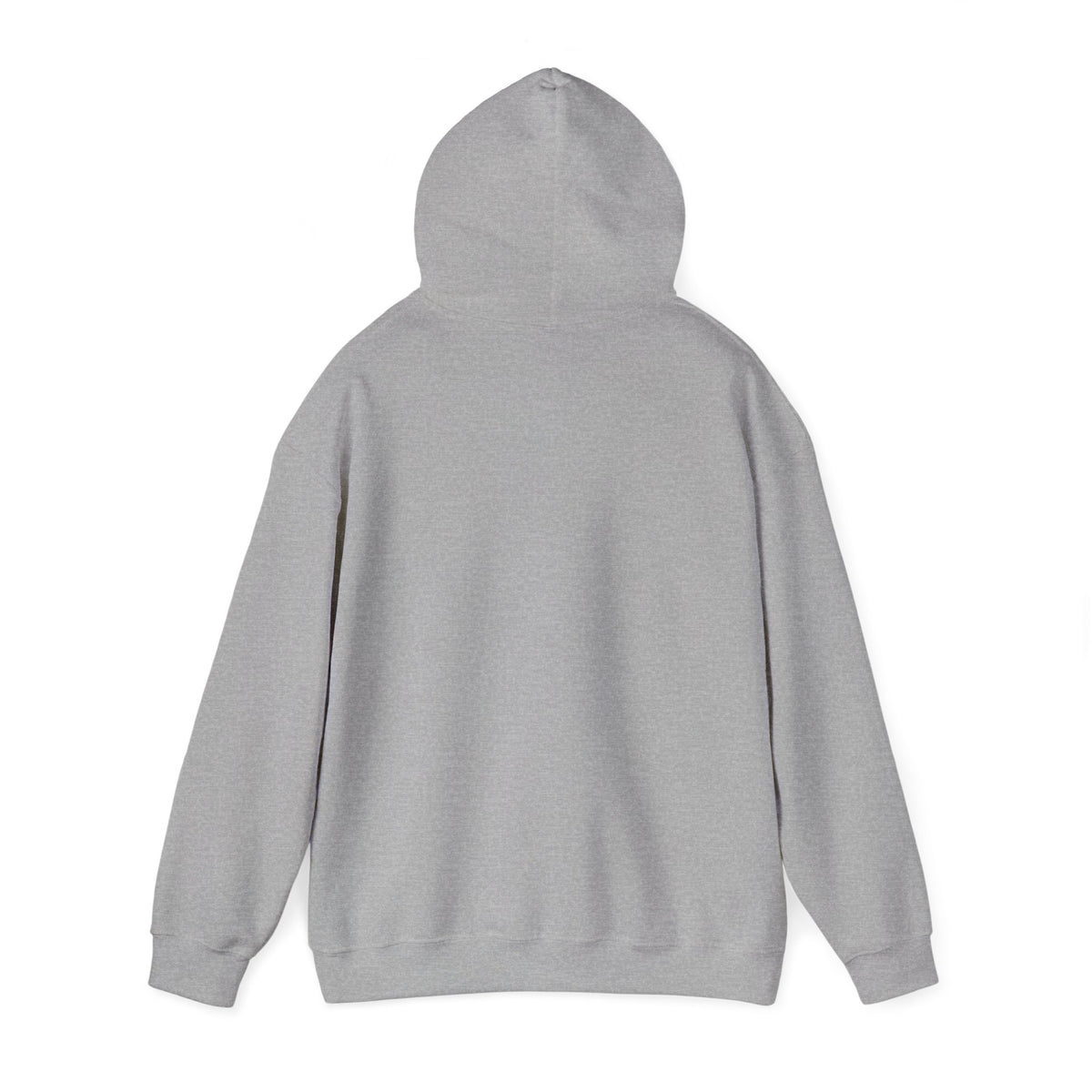 Skateboard Raccoon- Patch Hoodie — Colorful Marine Life Graphic