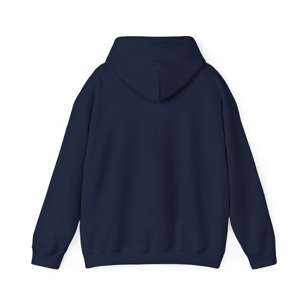 Skateboard Raccoon- Patch Hoodie — Colorful Marine Life Graphic